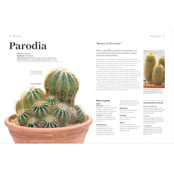 Cacti and Succulents