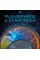 Planisphere and Starfinder