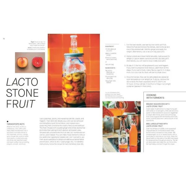 The Fermentation Kitchen. Sam Cooper