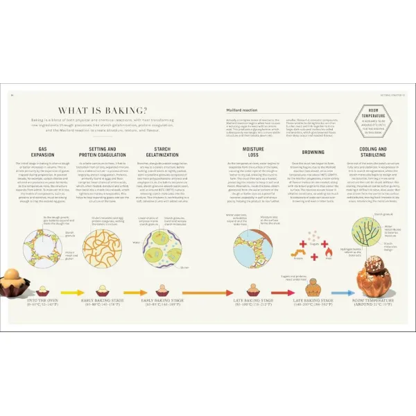 The Science of Baking