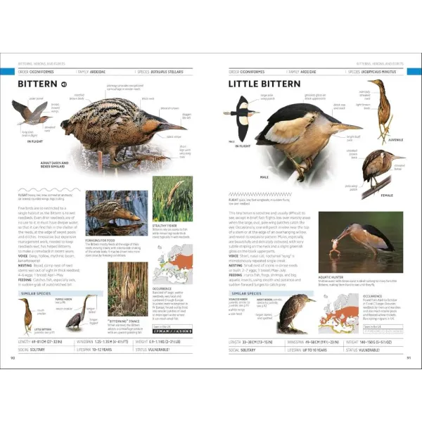 Birds of Britain and Europe