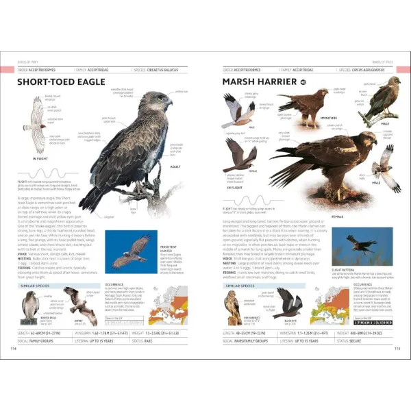 Birds of Britain and Europe