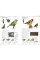 Birds of Britain and Europe
