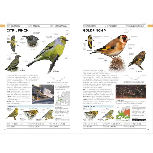 Birds of Britain and Europe