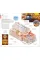 Argentina - Travel Guide