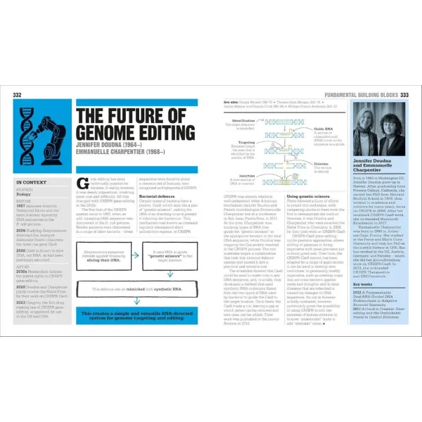 The Science Book: Big Ideas