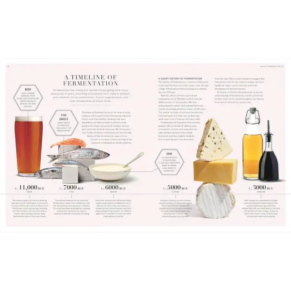The Science of Fermentation