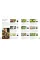 Biodynamic Gardening