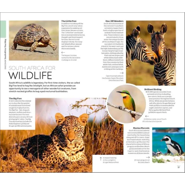 South Africa (Travel Guide)