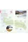 Scotland (Travel Guide)