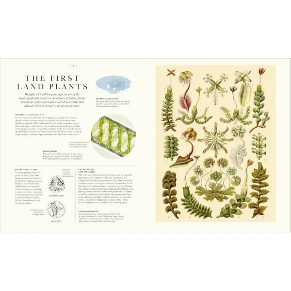 Atlas of Botany