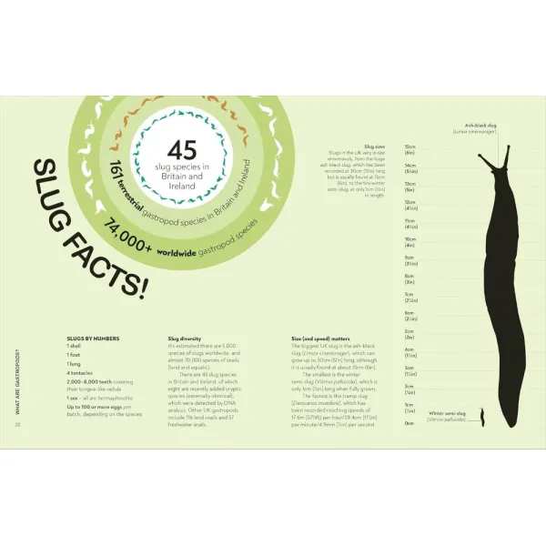 RHS Slugs: Friend or Foe?