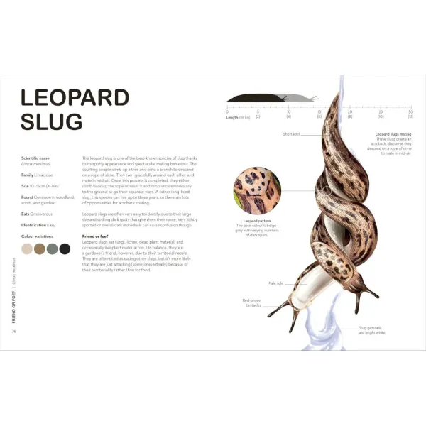RHS Slugs: Friend or Foe?