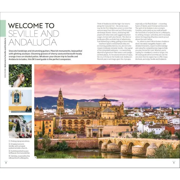 Seville and Andalucía (Travel Guide)