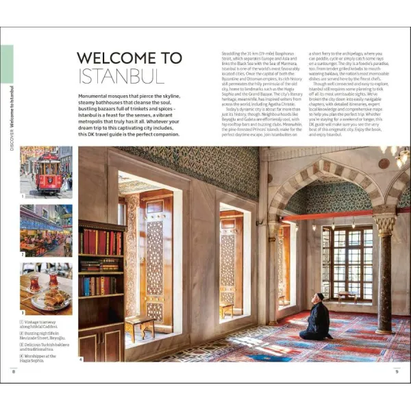Istanbul (Travel Guide)