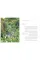 In Nature's Slipstream. Carol Bruce