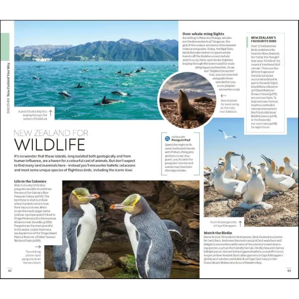 New Zealand (Travel Guide)