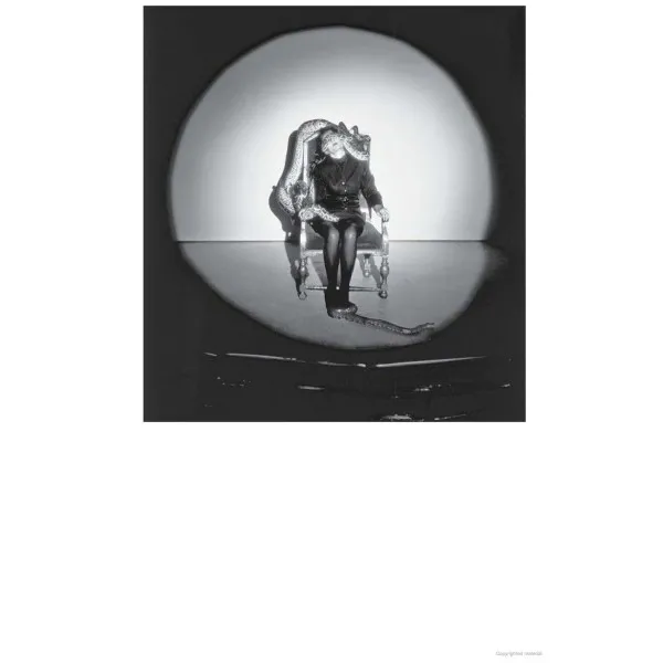 Marina Abramovic. Walk Through Walls