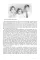 The Book of Jewish Food. Claudia Roden