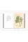 Joseph Banks' Florilegium . Botanical Treasures from Cook's First Voyage