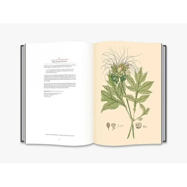 Joseph Banks' Florilegium . Botanical Treasures from Cook's First Voyage