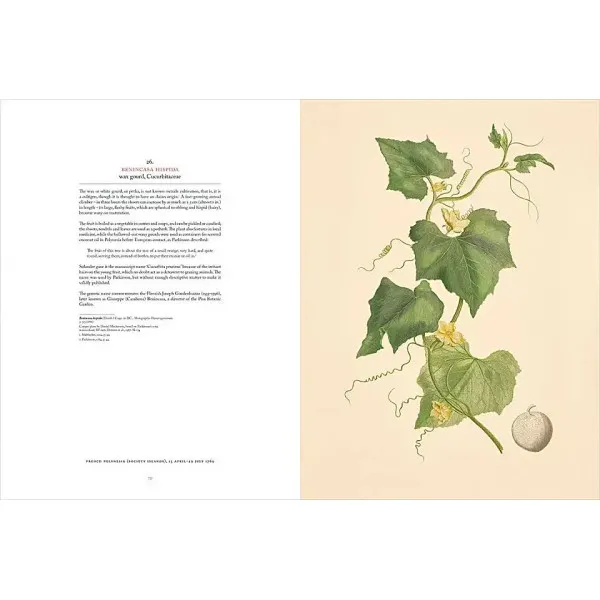 Joseph Banks' Florilegium . Botanical Treasures from Cook's First Voyage