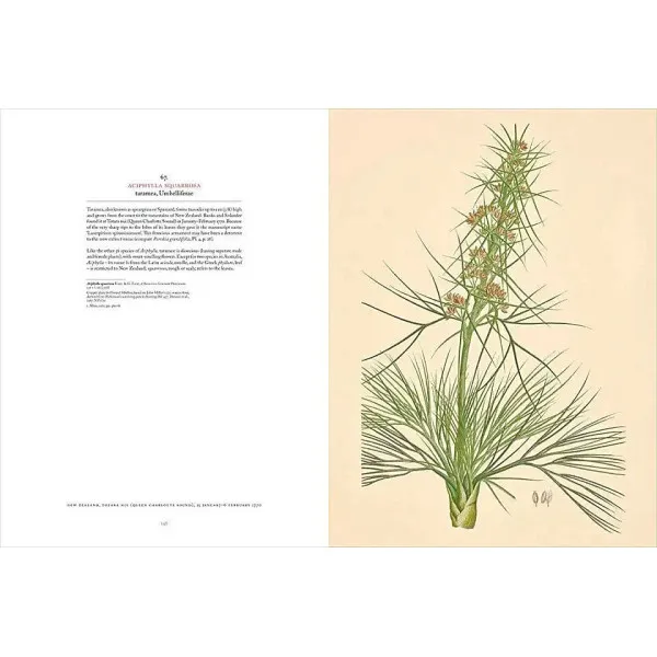 Joseph Banks' Florilegium . Botanical Treasures from Cook's First Voyage