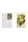 Joseph Banks' Florilegium . Botanical Treasures from Cook's First Voyage