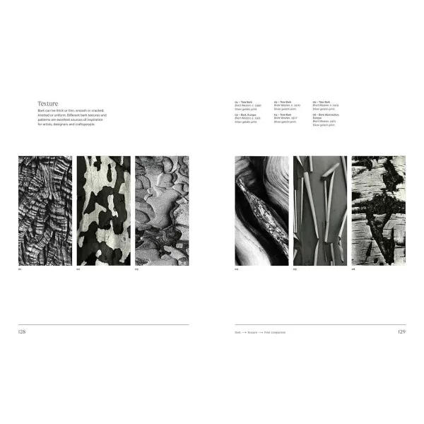 Trees From Root to Leaf