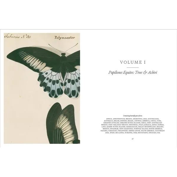 Iconotypes . A compendium of butterflies and moths. Jones's Icones Complete