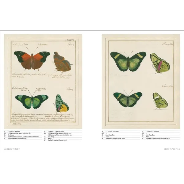 Iconotypes . A compendium of butterflies and moths. Jones's Icones Complete