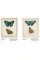 Iconotypes . A compendium of butterflies and moths. Jones's Icones Complete