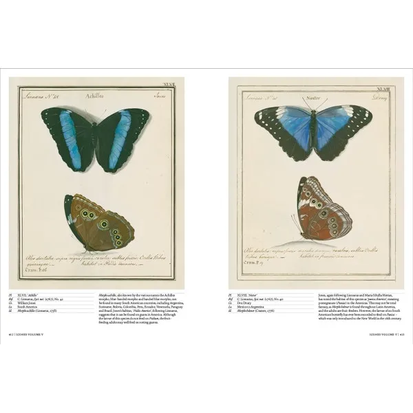 Iconotypes . A compendium of butterflies and moths. Jones's Icones Complete