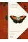 Iconotypes . A compendium of butterflies and moths. Jones's Icones Complete
