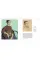 The Drawings of Vincent van Gogh