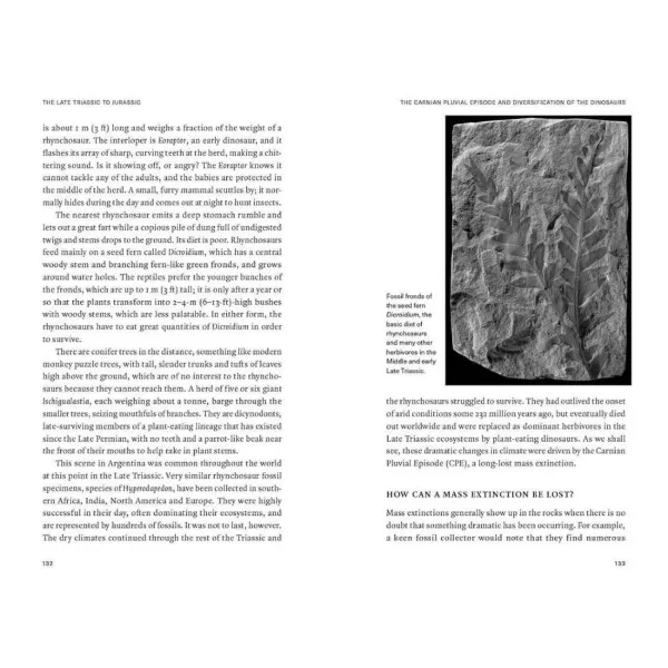 Extinctions. How Life Survives, Adapts and Evolves