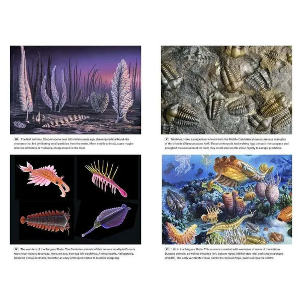 Extinctions. How Life Survives, Adapts and Evolves