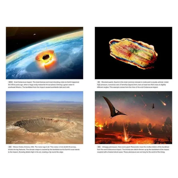Extinctions. How Life Survives, Adapts and Evolves