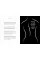 The World According to Yves Saint Laurent