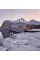 The Iconic Nordic House