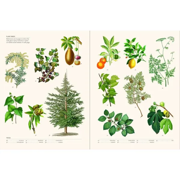 The Secret Language of Plants