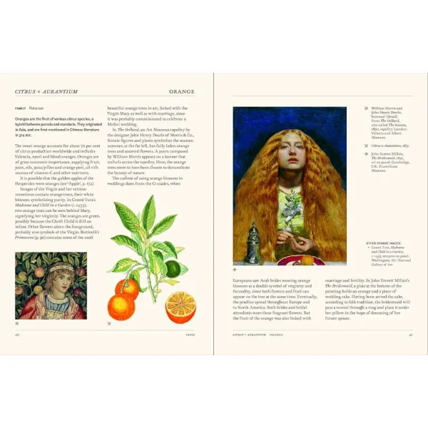 The Secret Language of Plants