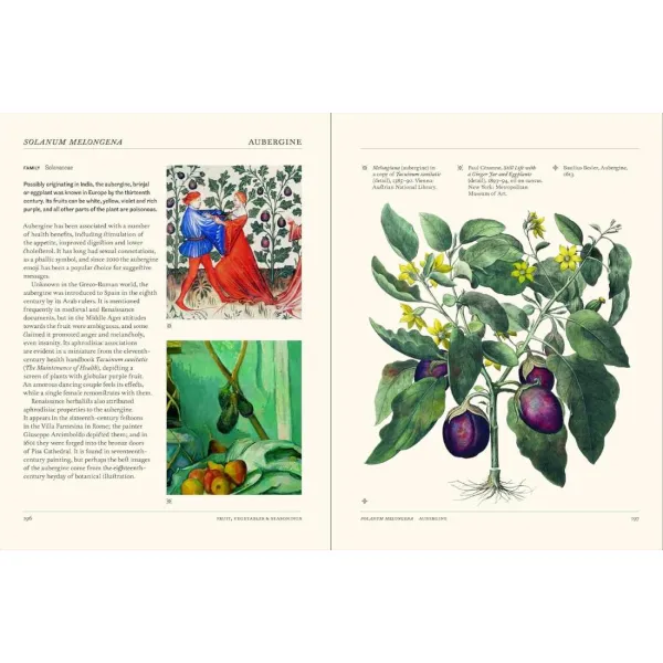 The Secret Language of Plants