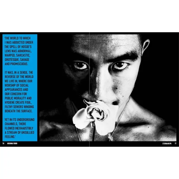 Japan Art Revolution