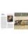 Closer to Vermeer