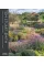 Tom Stuart-Smith: Drawn From the Land