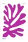 Colour Unbound: Henri Matisse 1941-1954