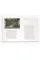 Modern Painting. A Concise History