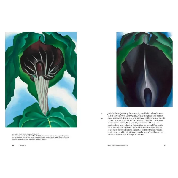 Georgia O'Keeffe. World of Art