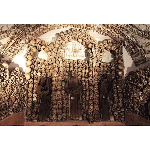 The Empire of Death . A Cultural History of Ossuaries and Charnel Houses